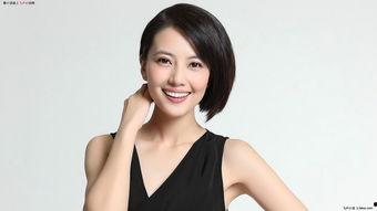 娱乐星空陈紫函小说,陈紫函的璀璨人生