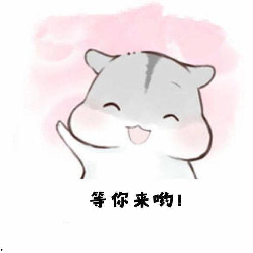 报到可爱表情包,盘点那些让人心暖的报到可爱表情包