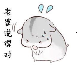 老婆抱小表情包,萌态尽显！