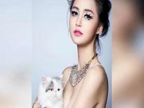 明星的所有名字,璀璨星光下的名字故事