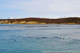 春天不是读书天电影背景