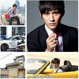 娱乐圈超人气偶像,娱乐圈超人气偶像的璀璨人生