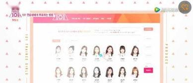 韩国娱乐101,揭秘明星养成记与粉丝文化