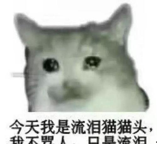 素颜的我表情包,表情包里的真实瞬间